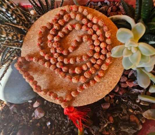 Rudraksha Panchmukhi - (4mm)