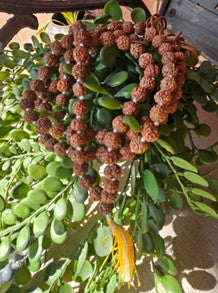 Rudraksha Panchmukhi Mala- (8mm)